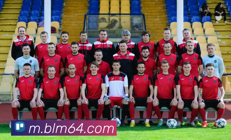 平台使命图